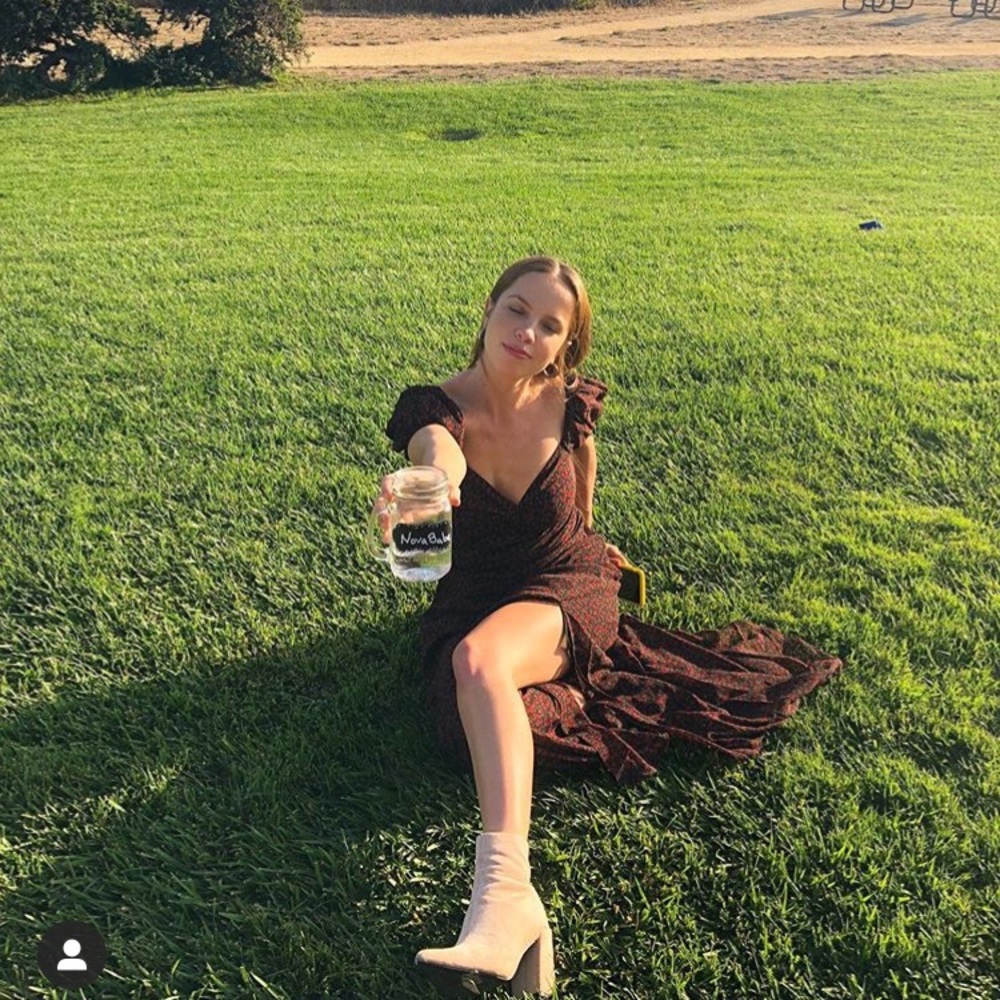 Fashion Nova Roses Dress